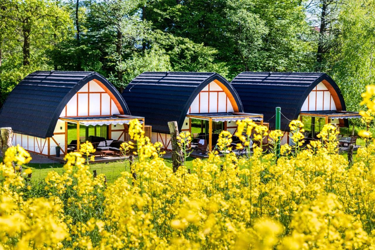 Sen I Wino, Domki Na Winnicy Ze Strefa Spa Żywiec Buitenkant foto