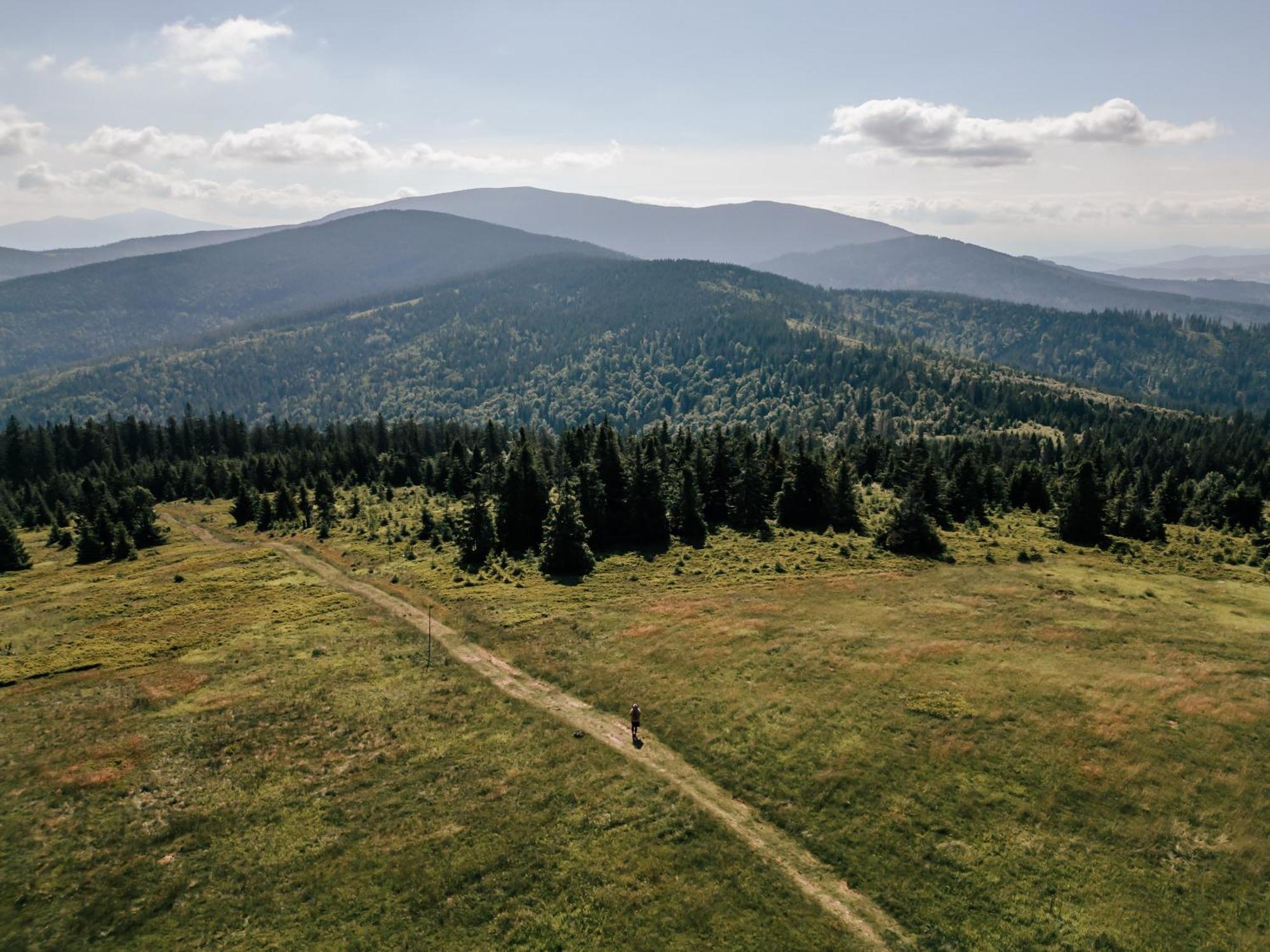 Sen I Wino, Domki Na Winnicy Ze Strefa Spa Żywiec Buitenkant foto
