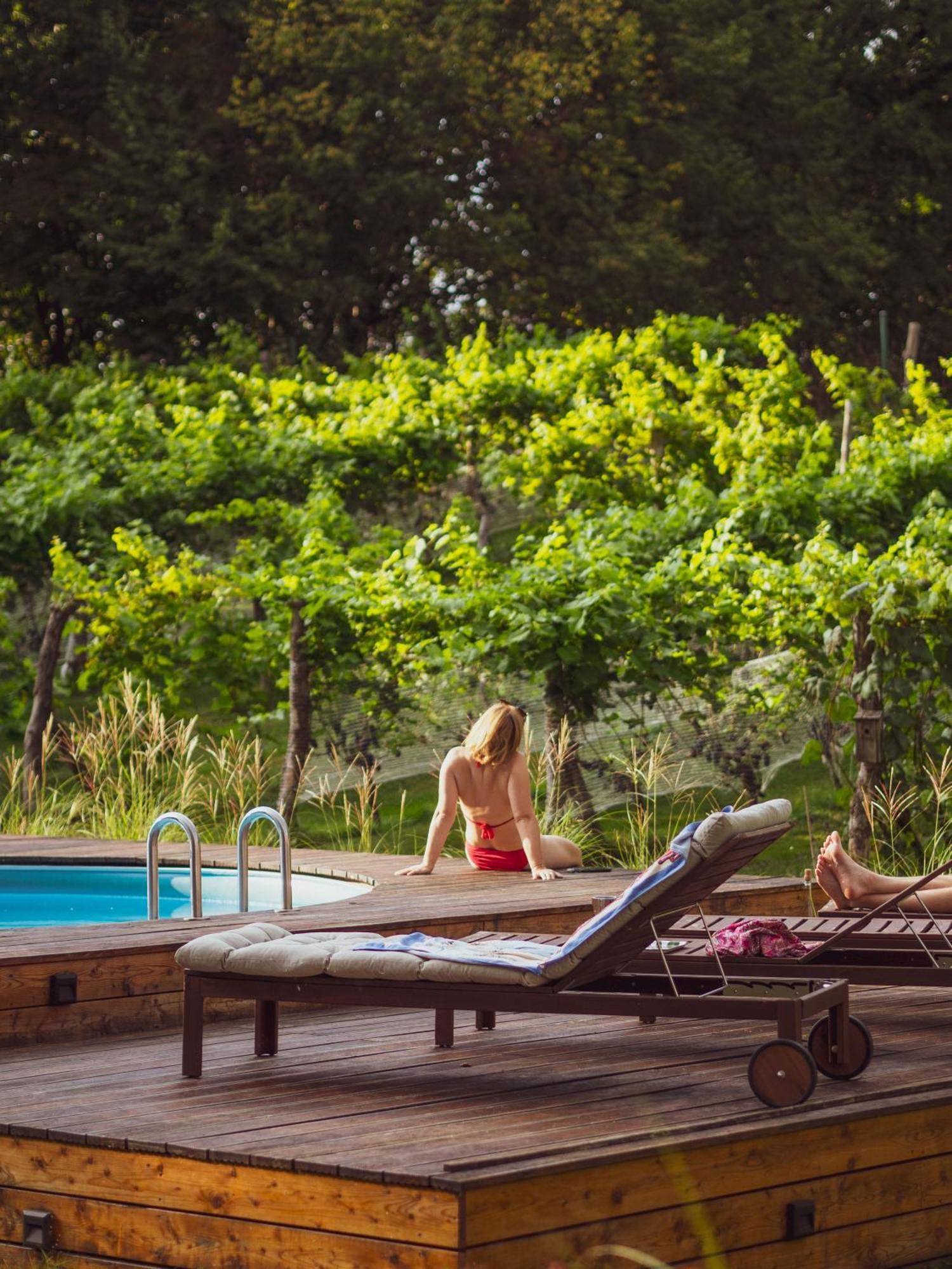 Sen I Wino, Domki Na Winnicy Ze Strefa Spa Żywiec Buitenkant foto
