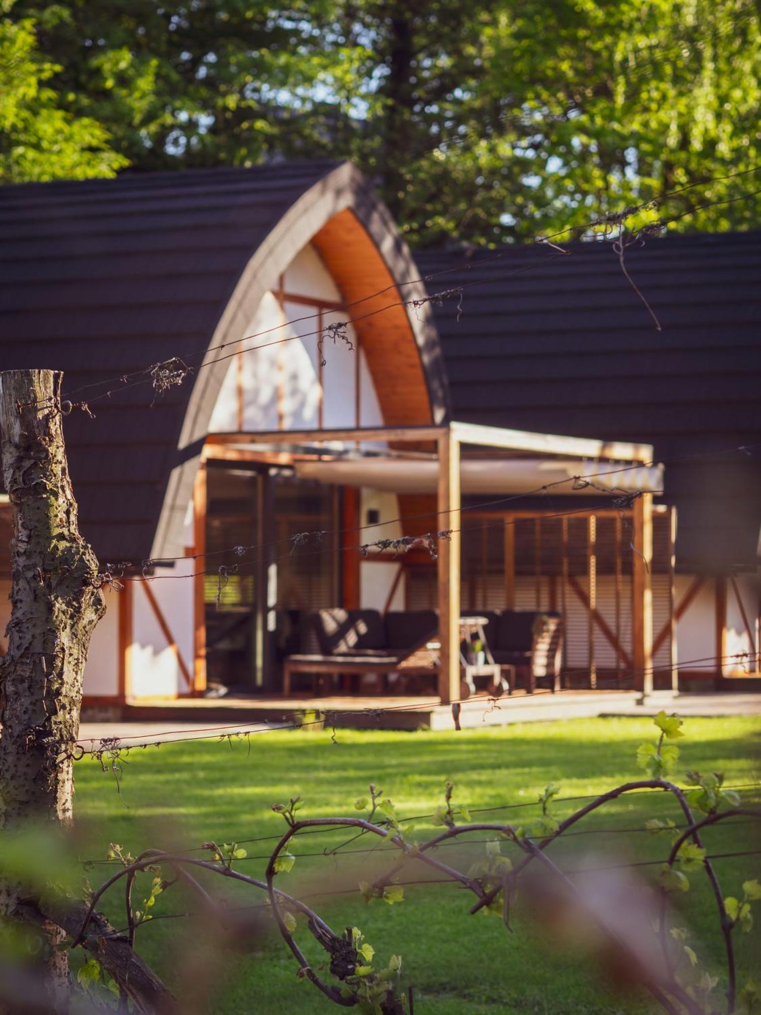 Sen I Wino, Domki Na Winnicy Ze Strefa Spa Żywiec Buitenkant foto